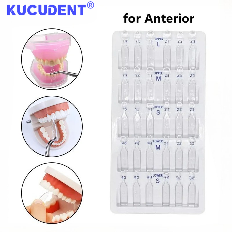 Teeth Whitening Moulds - 30개/세트 치과용 베니어 몰드, 앞니용, 복합