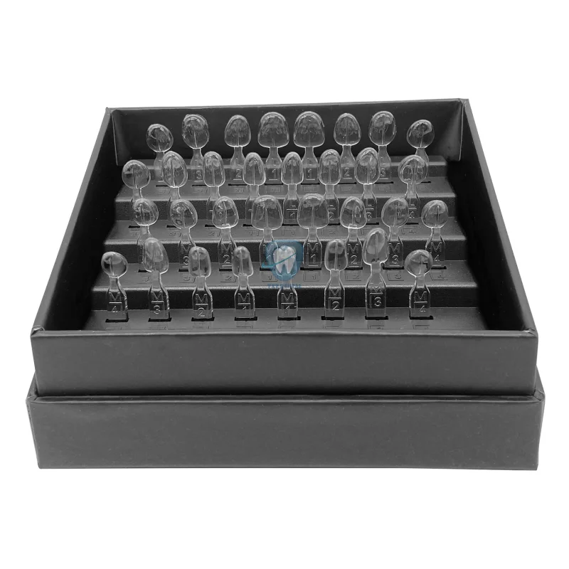 32 개/대 치과 베니어 금형 키트 복합 수지 금형 라 - Teeth Whitening Moulds 리뷰 및 가격