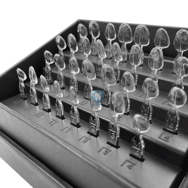 32 개/대 치과 베니어 금형 키트 복합 수지 금형 라 - Teeth Whitening Moulds 리뷰 및 가격