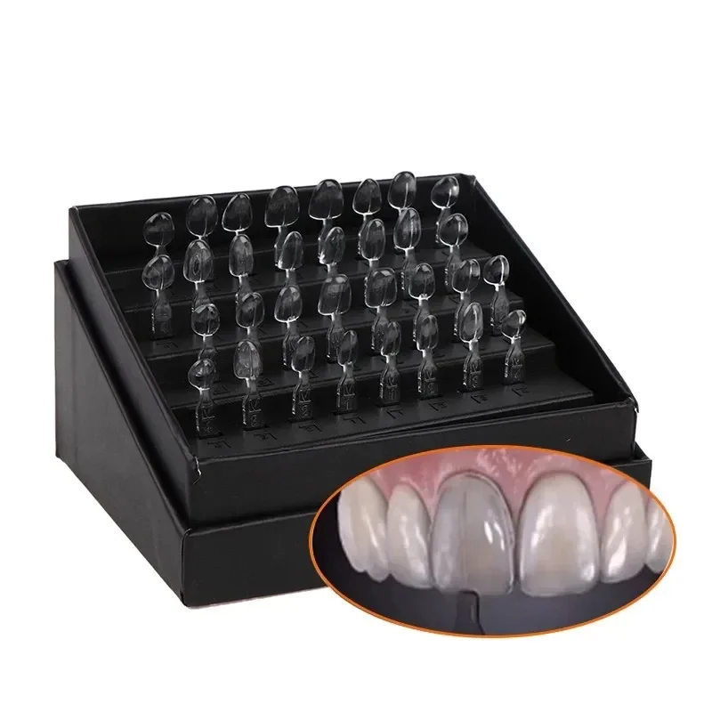 32개 치과용 베니어 몰드 키트 복합 레진 몰드 광중합 - Teeth Whitening Kit 리뷰 및 가격